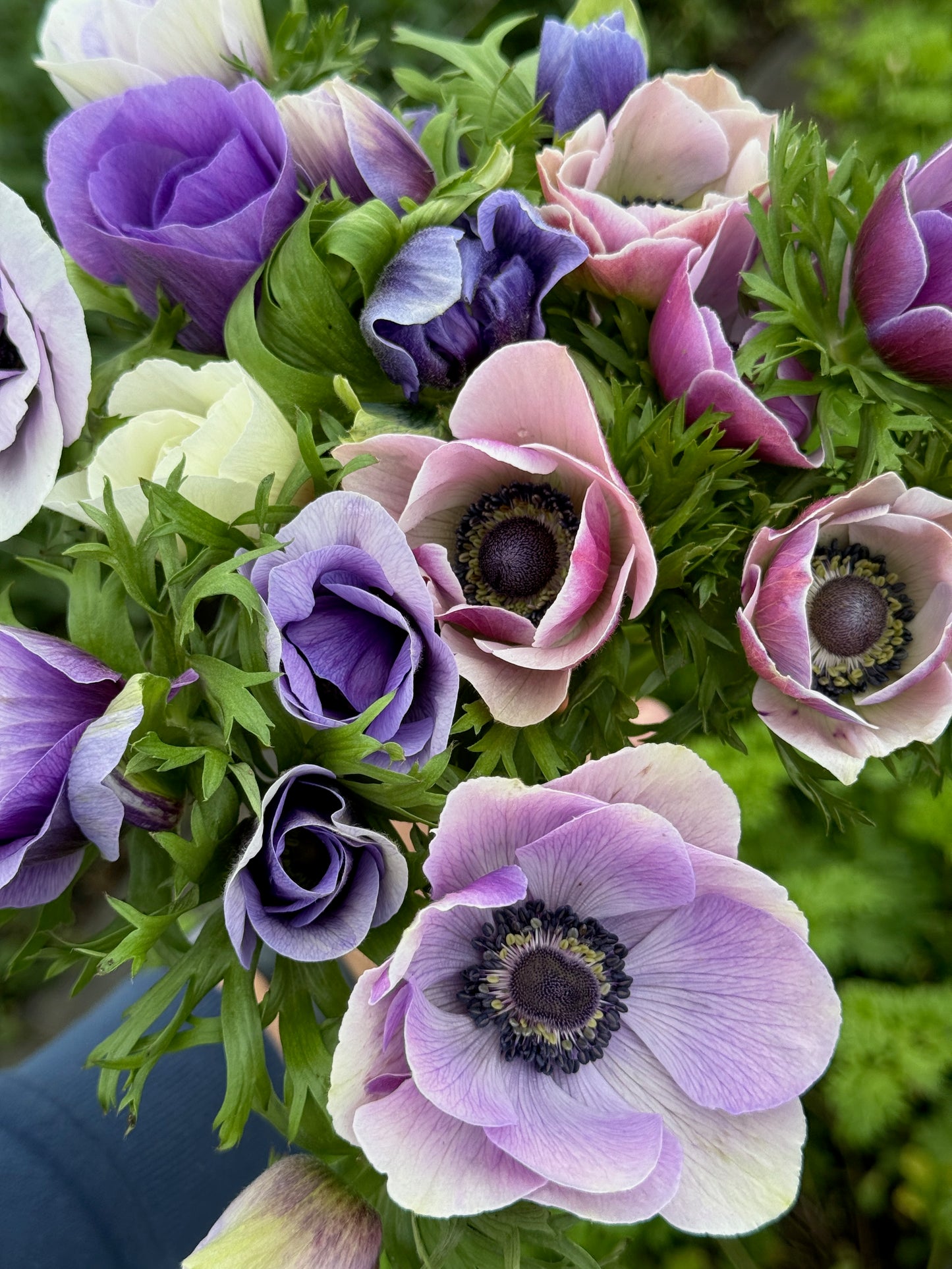 Monthly Bouquet Subscription